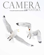 Camera Natura 1-20