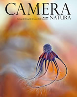Camera Natura 2-20