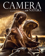 Camera Natura 3-20