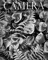 Camera Natura 3-21